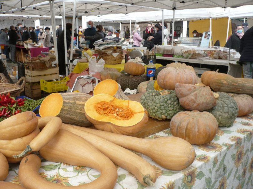 Antiquariato, Farmer Market, gran mercato e Doc Monferrato - Tipico & Shopping